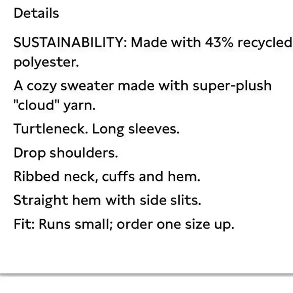 Banana Republic Cozy Oversized Turtleneck Sweater - Picture 7 of 8